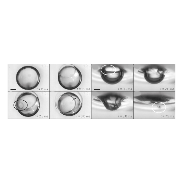 Experimental Images of Nanoemulsions
