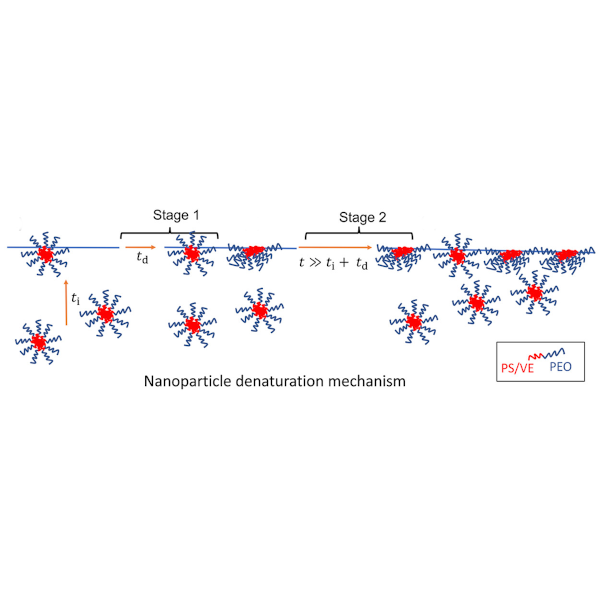 denaturation mechanism schematic of nanoparticles